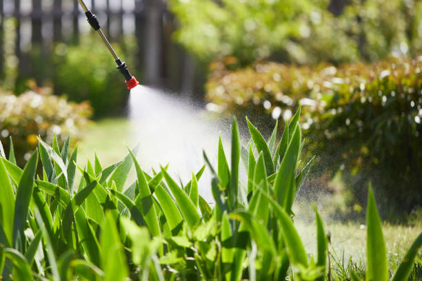 24/7 Emergency Cockroach Control experts in Santa Monica, CA