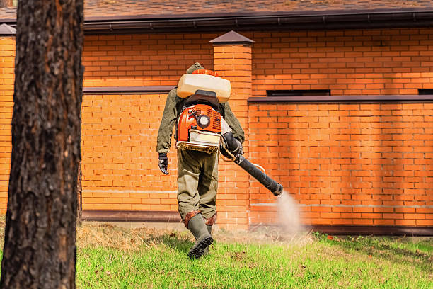 Trusted Termite Control service in Santa Monica, CA - Nex Pest Control